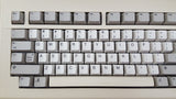 Vampirized Commodore Amiga 2000 A2000 Desktop Computer 68080@78mhz Vampire RTG RGBtoHDMI - JA1001528