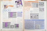 Amiga Format Magazine w/CD - February 1998 Game HD Installers POVray3 RayStorm +MORE